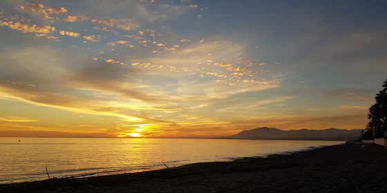 Marbellaful Real Estate y Legal Services